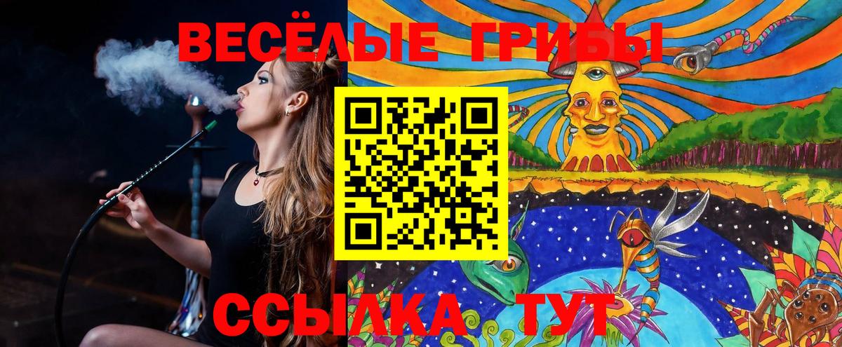 Галлюциногенные грибы Psilocybe  Псилоцибиновые грибы Psilocybe  Вход с VPN  Фурманов 